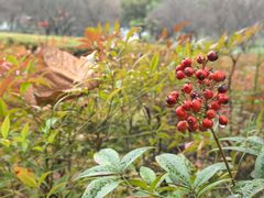 -白塘生态植物园