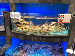 -兴仙饭店·闽味海鲜(马尾总店)