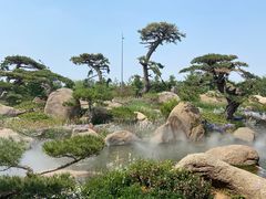 -罗红摄影艺术馆