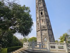 -上海佘山国家森林公园天马山园