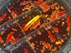 -重庆渝达老火锅(春熙路店)