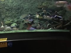 -成都浩海立方海洋公园