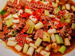-天辣(金桥啦啦宝都店)
