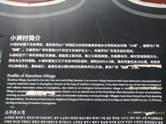 -小洲村