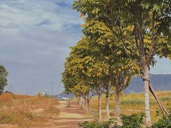 -光明小镇欢乐田园