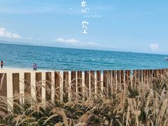 -大梅沙海滨公园