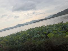 -湖畔居茶楼(湖滨店)