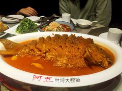红烧黄河大鲤鱼-阿五黄河大鲤鱼(纬三路店)