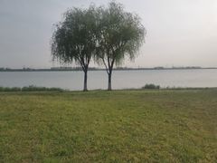 -漕湖湿地公园