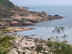 -广东惠东海龟国家级自然保护区