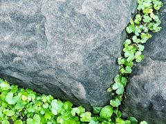 -沈从文故居