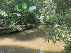 -成都市活水公园