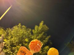 -KKV(天津津南吾悦广场店)