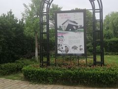-金山农民画村-枫泾波兰倒置屋