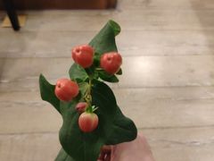 -LA CREPERIE BRETONNE布列塔尼法式餐厅(天童北路店)
