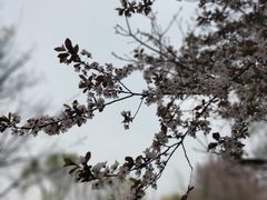 -陕西省西安植物园