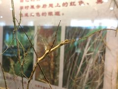 -上海昆虫博物馆