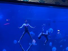 -烟台海昌鲸鲨海洋公园