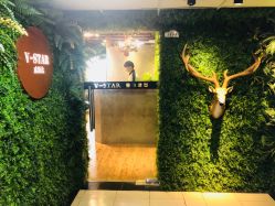 -V-STAR威斯达•高级私人定制