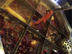 蜀九香火锅酒楼(九眼桥店)-蜀九香火锅(九眼桥店)