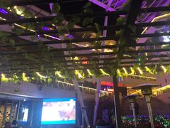 -Paulaner·德国帕拉娜自酿啤酒餐厅(海上世界店)