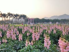 -盈香心动乐园