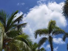 -三亚西岛海洋文化旅游区