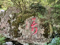 -炎陵县神农谷国家森林公园