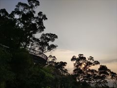 -福道