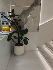 -LJOY丽锦造型·烫发染发