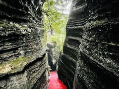 -梭布垭石林景区