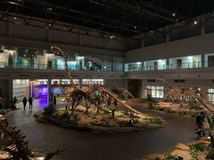 -自贡恐龙博物馆