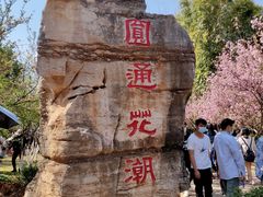 -昆明动物园