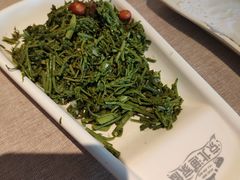-京北渔家傲