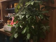 -大鸭梨烤鸭(顺义石园店)