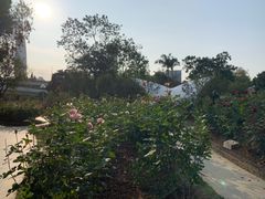 -人民公园(罗湖区)