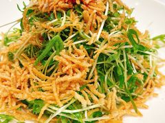 空心菜苗-打酱油·非遗淮扬菜(瘦西湖梅岭店)