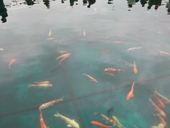 -牛鱼嘴原始生态风景区