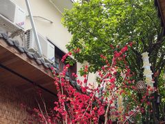 -王捌小院(红花坡店)