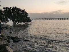 -宝安西湾红树林湿地公园