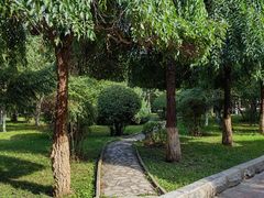 -吉林大学中日联谊医院(中心院区)