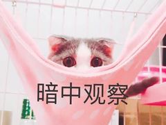 -正德顺順德雙皮奶(中信店)