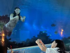 -涛·海底餐厅·美人鱼·自助餐·海底隧道(三亚海棠湾洲际度假酒店)