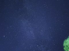 -武陵山森林公园