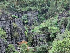 -梭布垭石林景区