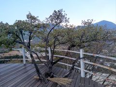 -白水台
