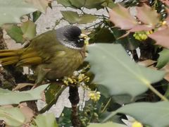 -狼山风景名胜区