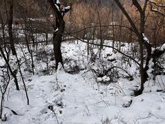 -抱龙峪