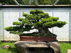-棠樾牌坊群鲍家花园景区