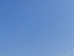 -滆湖低碳生态公园